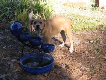 Stopped to take a brief water break.